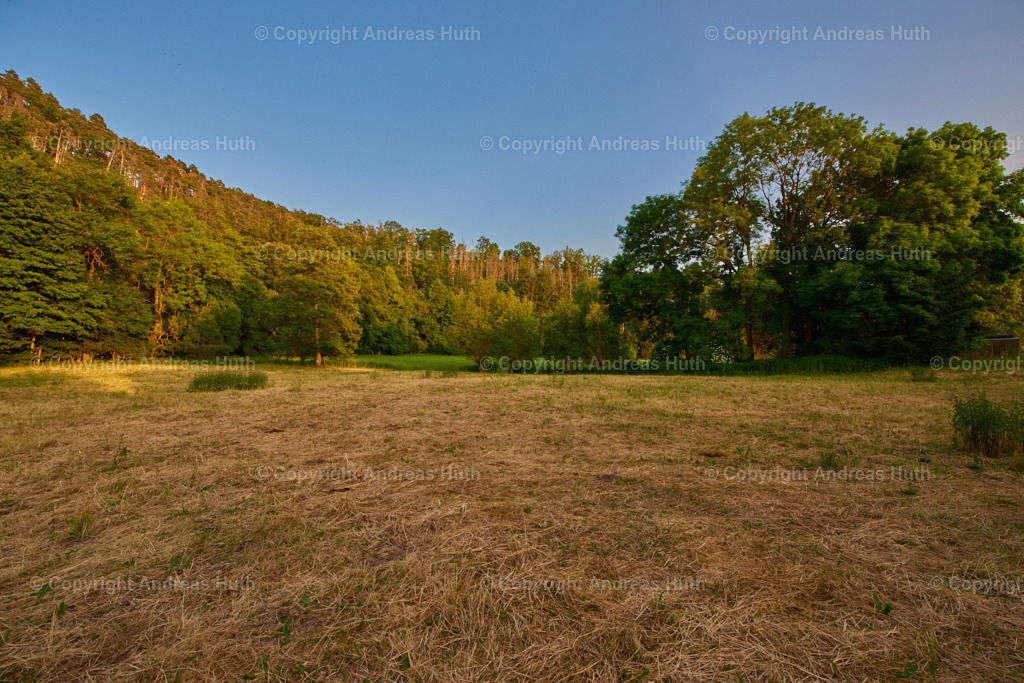 Im NSG Aumatal nahe der Prellmühle 06 | Bedeutsame Landschaften Deutschlands - Realisiert mit Pictrs.com