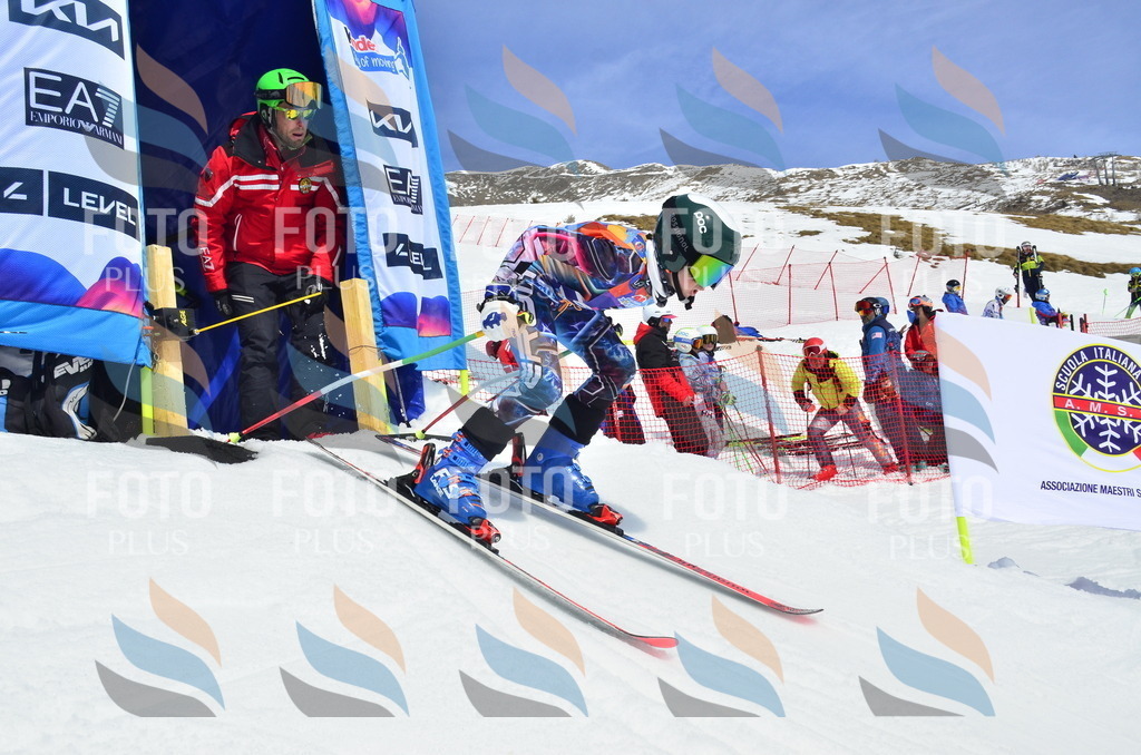 _ELE1961 | holidayphoto