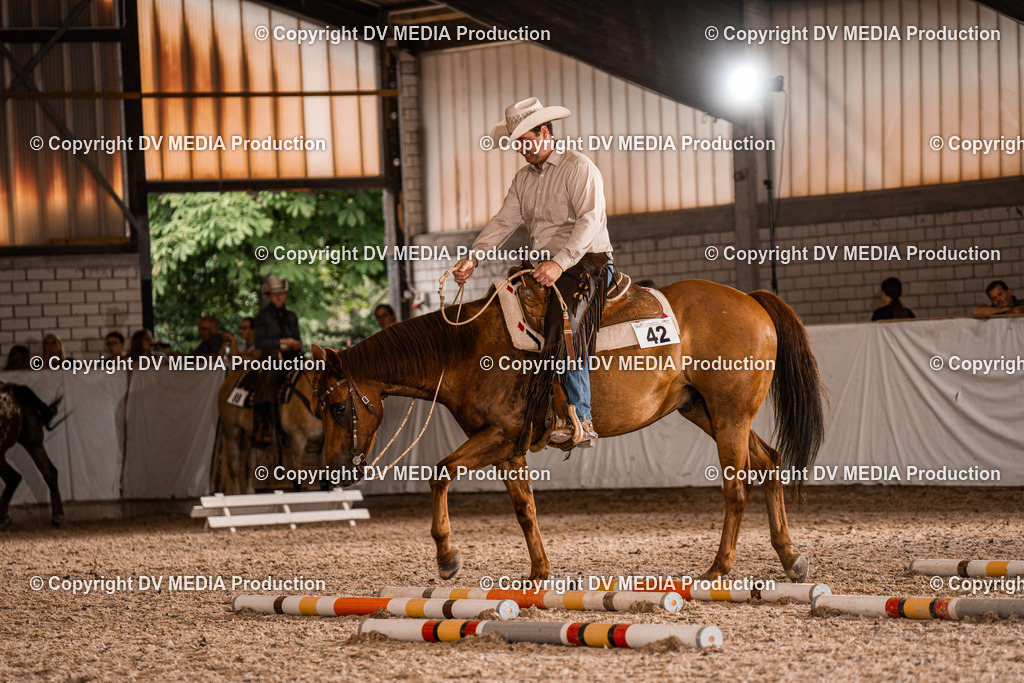 ZH300338 | dv-media-shop - Realisiert mit Pictrs.com