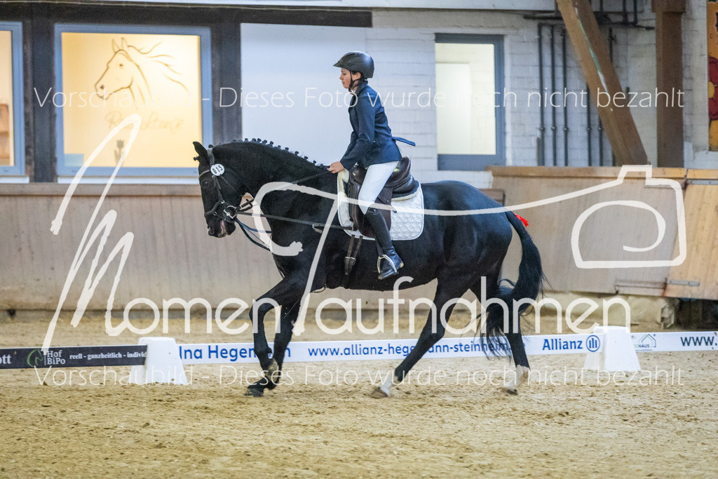 Sth-WBO25-DrR-100 | MomenTaufnahmen Pferdesportfotos