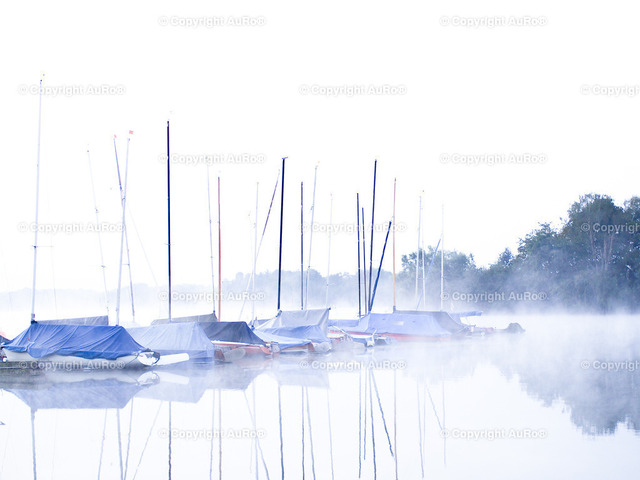 2020-08-30 Unterbacher See Nebel 2 | AuRo® Services - Realisiert mit Pictrs.com