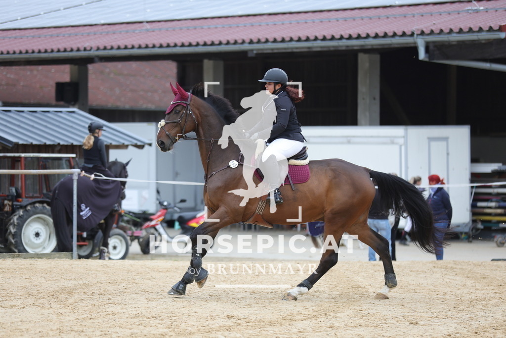 0P6A0793 | Willkommen bei Brunnmayr - Design & Fotografie – Ihrem Spezialisten für Reitturniere und Pferdeveranstaltungen in Oberösterreich, Salzburg und Bayern! Seit über 17 Jahren sind wir leidenschaftlich dabei.