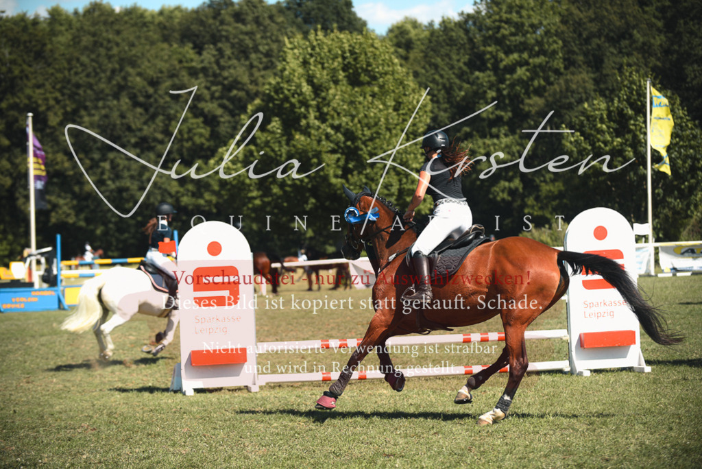 DSC_7353 | Pferde- und Turnierfotografie in Westsachsen. Pferdeportraits, Auftragszeichnungen und intuitive Kunst.
