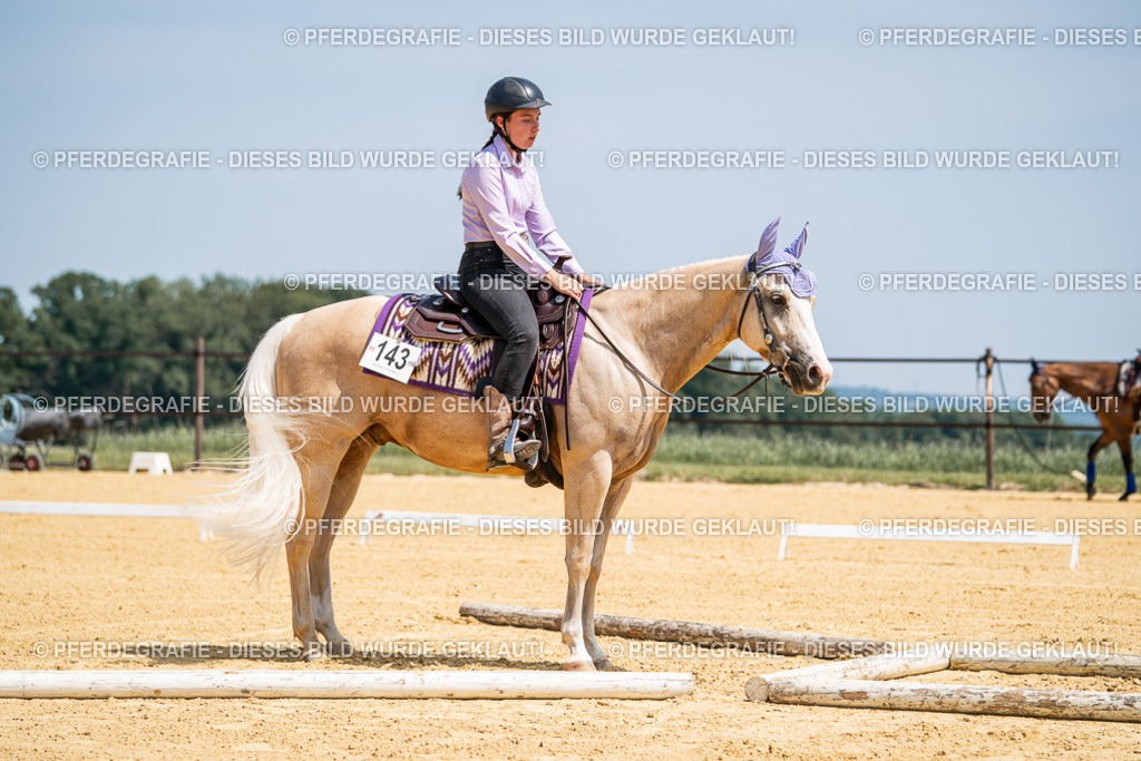 DSC01195 | Pferdegrafie