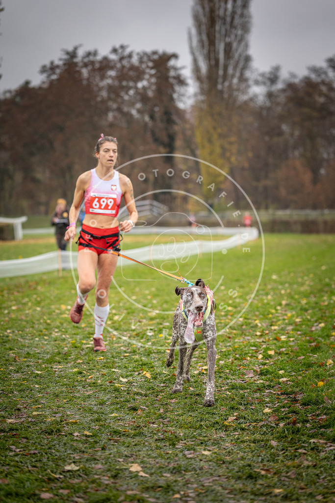 CaniXpix_DV3A9176 | Hundefotografie, Tierfotograf, Pfotenfotografie, Fotoshooting Hund, Hunde Portrait, Hundesport, Hundeportraits, Heideshooting, Hunde, Sportfotograf, Hundefotograf, Turnierhundsport, THS,  - Realisiert mit Pictrs.com