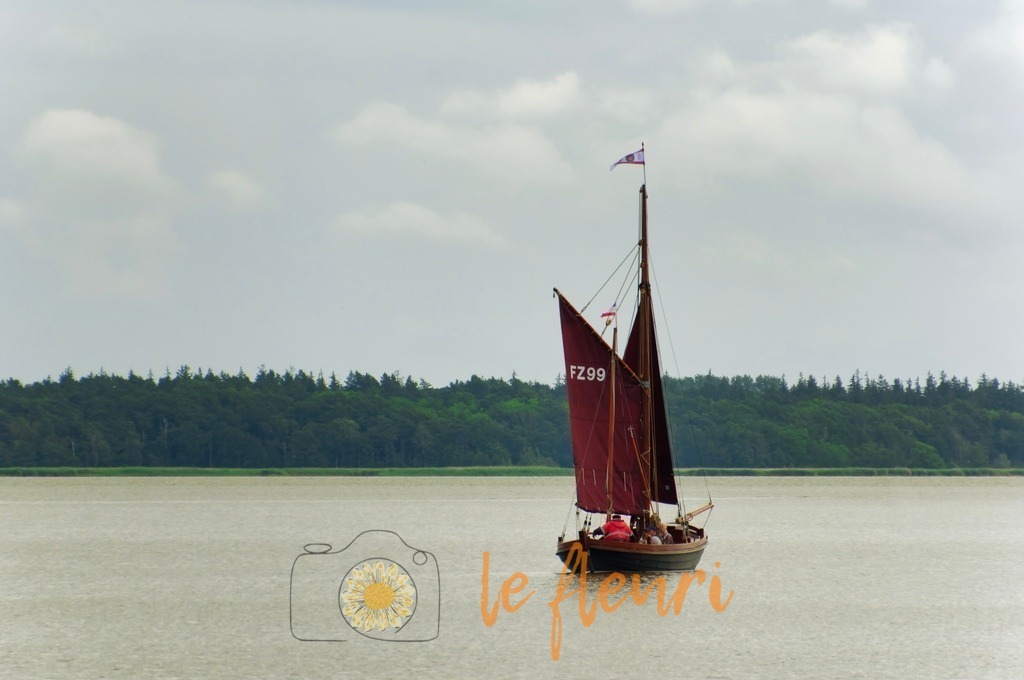 IMG_4630 | Dies ist der Shop von Florian Blum - le fleuri. Langenthal, Bern, Schweiz. Sie können hier meine oder ihre eigenen Fotos als Fotoprodukte kaufen. Tassen, Schlüsselanhänger, Taschen etc. können Sie hier gestalten.  - Realisiert mit Pictrs.com