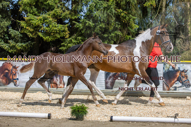 0P2A5045 | mandyhollmannphotographie