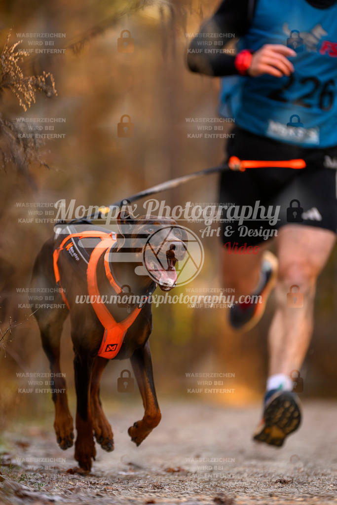 MompixPhotography_DM_AKDM_SO_2025_-62 | PayLife