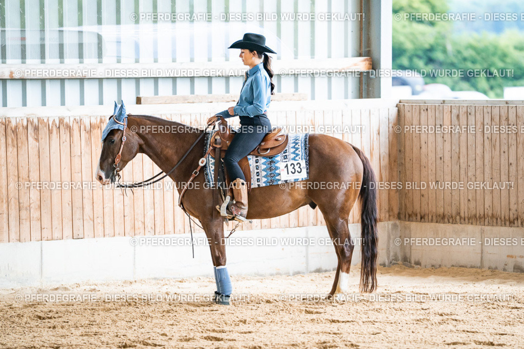 DSC09910 | Pferdegrafie