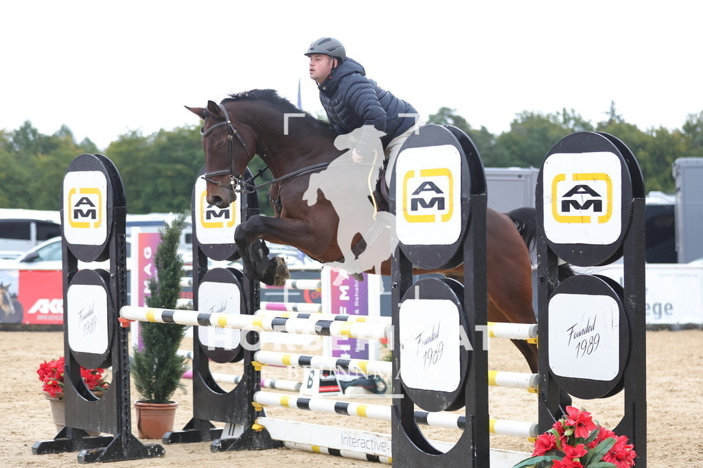 0P6A7914 | Willkommen bei Brunnmayr - Design & Fotografie – Ihrem Spezialisten für Reitturniere und Pferdeveranstaltungen in Oberösterreich, Salzburg und Bayern! Seit über 17 Jahren sind wir leidenschaftlich dabei.
