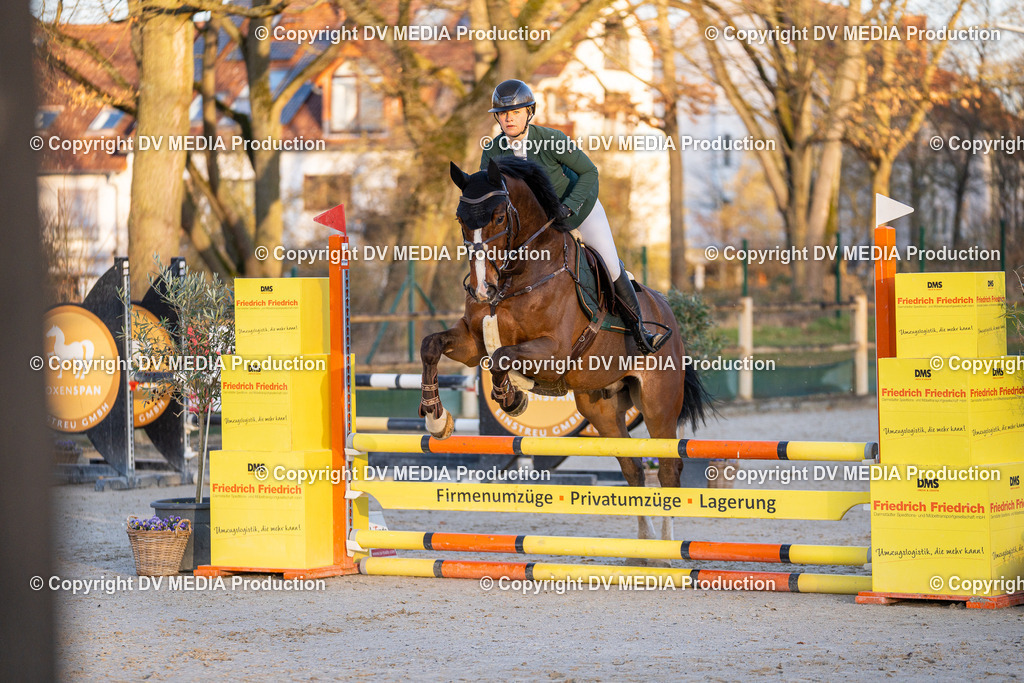 DSC-267 | dv-media-shop - Realisiert mit Pictrs.com