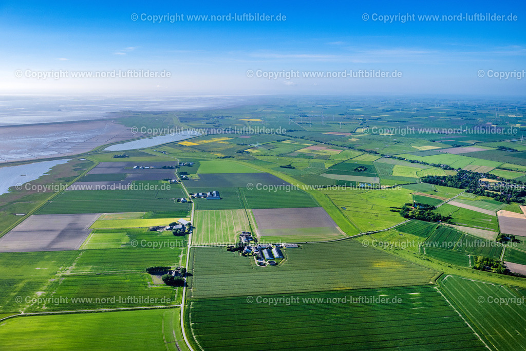 Dagebüll_Hauke_Hain_Koog_ELS_0654300523 | FAHRETOFT 30.05.2023 Strukturen auf landwirtschaftlichen Feldern in Fahretoft im Bundesland Schleswig-Holstein, Deutschland. // Structures on agricultural fields in Fahretoft in the state Schleswig-Holstein, Germany. Foto: Martin Elsen