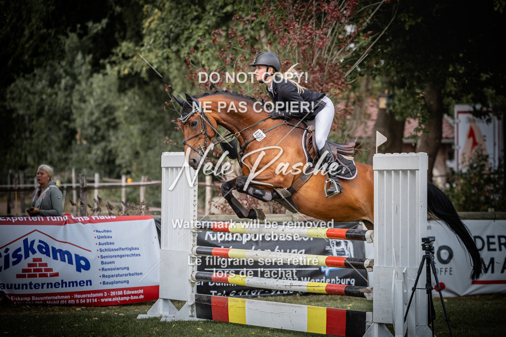 nelerasche_SprL__110Ede_15 | nelerasche
