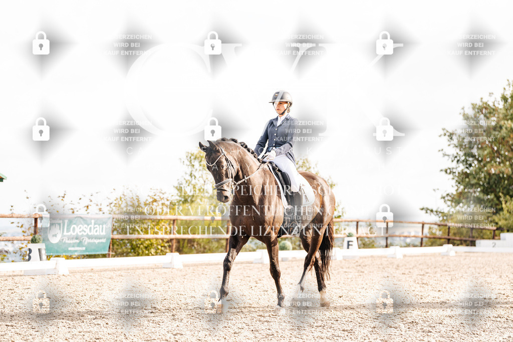 CK901040 | Turnierfotografie Pferdefotografie Trier Rheinland-Pfalz Pferdesport Reitsport Tierfotografie Sportfotografie Pferdevideo Pferdevideografie Equestrianvideography equestrianphotography  - Realisiert mit Pictrs.com