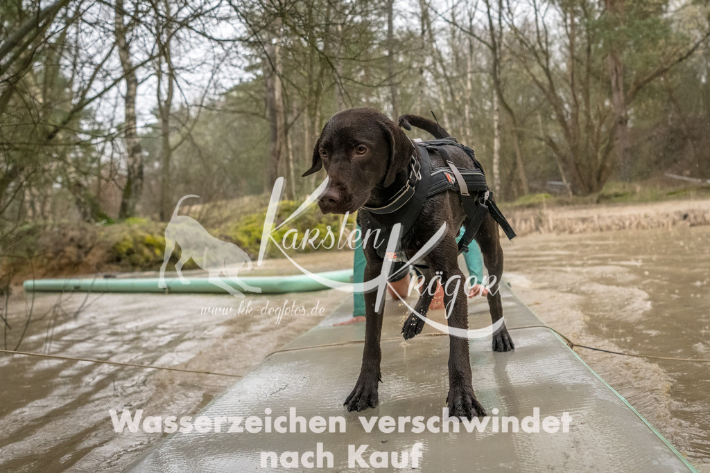 1048_ZZ93449-Bearbeitet | kk-dogfotos