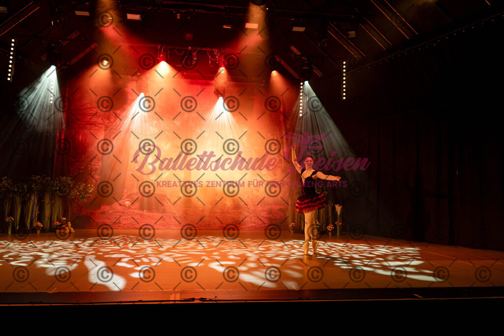 Ballettaufführung-506 | Bildershop Lem'n Entertainment - Realisiert mit Pictrs.com