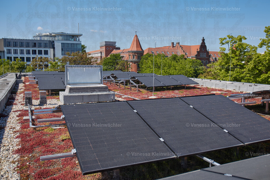 250511_SolarXBerg_08 | Vanessa Kleinwächter - Realisiert mit Pictrs.com