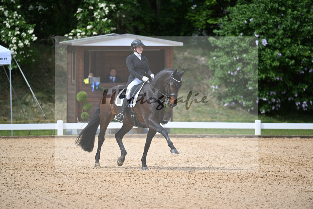 Soto_Sandro_26262430 | hf-fotografie - Realisiert mit Pictrs.com