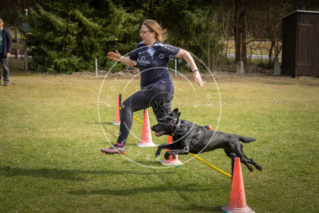 Pfotenfotografie_DV3A9406 | Hundefotografie, Tierfotograf, Pfotenfotografie, Fotoshooting Hund, Hunde Portrait, Hundesport, Hundeportraits, Heideshooting, Hunde, Sportfotograf, Hundefotograf, Turnierhundsport, THS,  - Realisiert mit Pictrs.com
