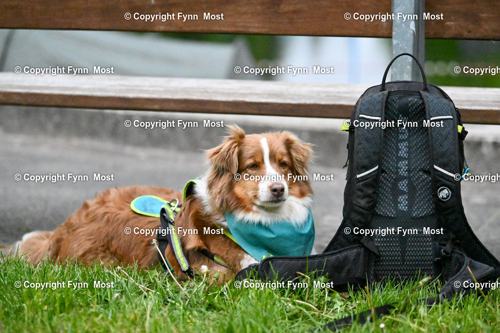 DSC_7829 | Hallo und herzlich Willkommen auf meiner Shop-Seite Fynn Most.

Ich wünsche Dir viel Spaß beim stöbern durch die Bilder, wenn Du Fragen hast oder Bilder vermisst, kannst du mir gerne eine Nachricht schreiben. - Realisiert mit Pictrs.com