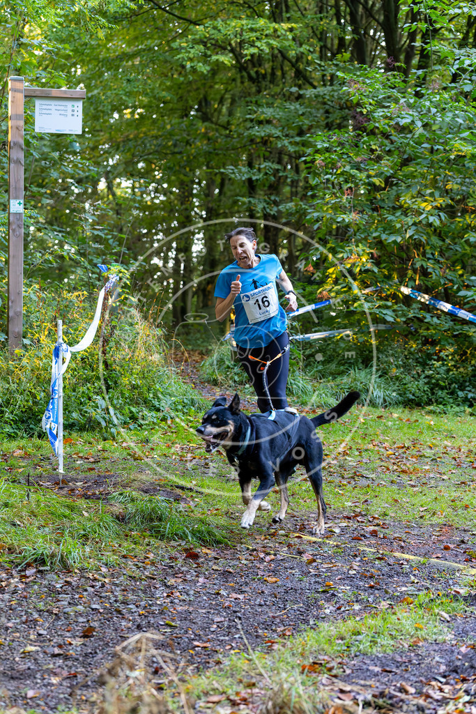 Pfotenfotografie_DV3A6380 | Hundefotografie, Tierfotograf, Pfotenfotografie, Fotoshooting Hund, Hunde Portrait, Hundesport, Hundeportraits, Heideshooting, Hunde, Sportfotograf, Hundefotograf, Turnierhundsport, THS,  - Realisiert mit Pictrs.com