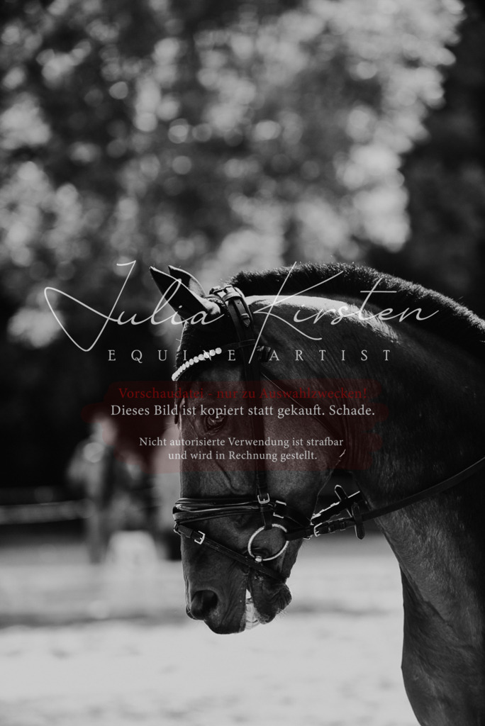 DSC_0487 | Pferde- und Turnierfotografie in Westsachsen. Pferdeportraits, Auftragszeichnungen und intuitive Kunst.