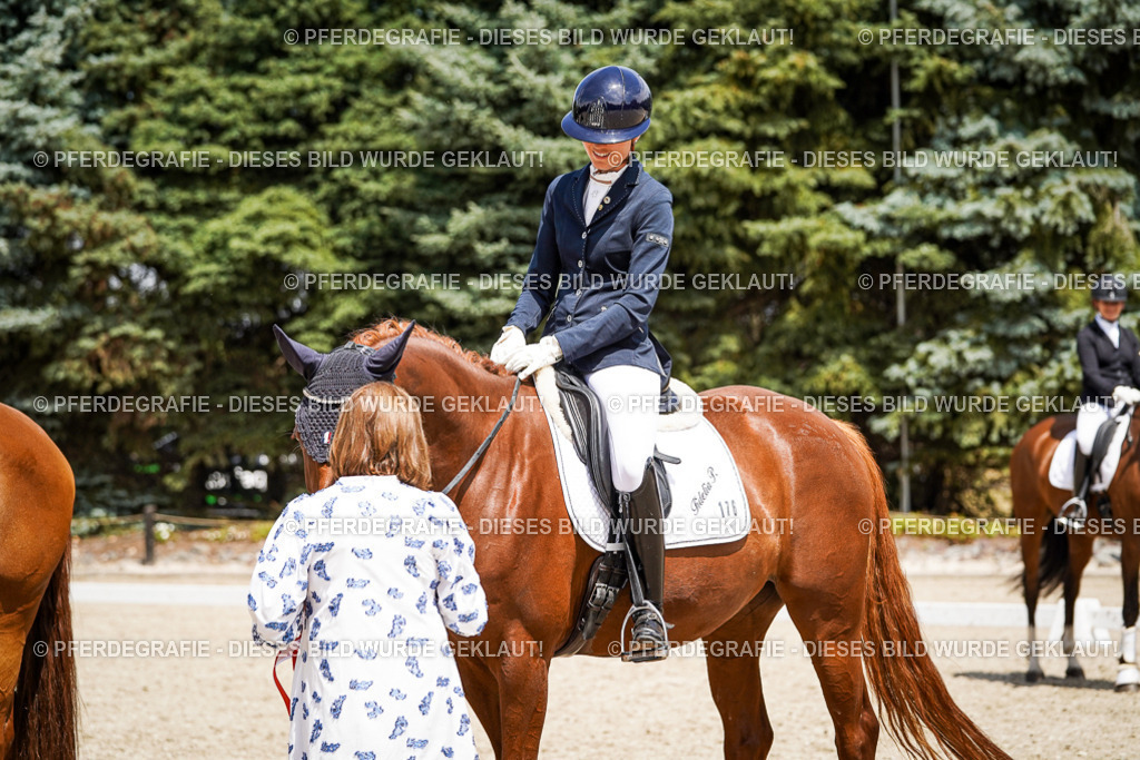 DSC01739 | Pferdegrafie