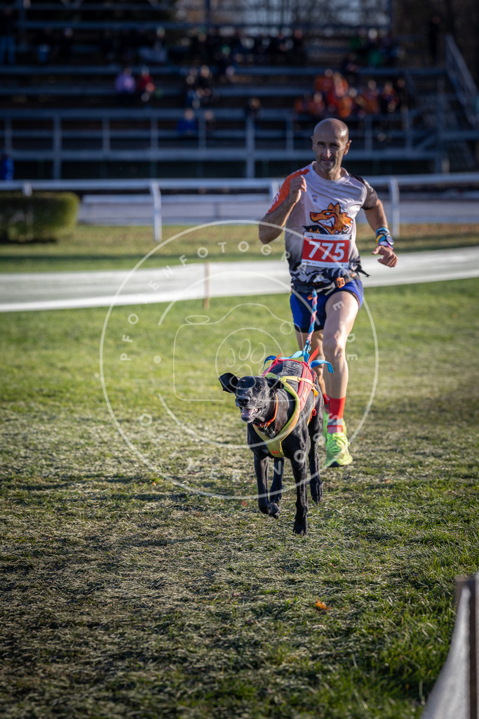 CaniXpix_DV3A2726 | Hundefotografie, Tierfotograf, Pfotenfotografie, Fotoshooting Hund, Hunde Portrait, Hundesport, Hundeportraits, Heideshooting, Hunde, Sportfotograf, Hundefotograf, Turnierhundsport, THS,  - Realisiert mit Pictrs.com
