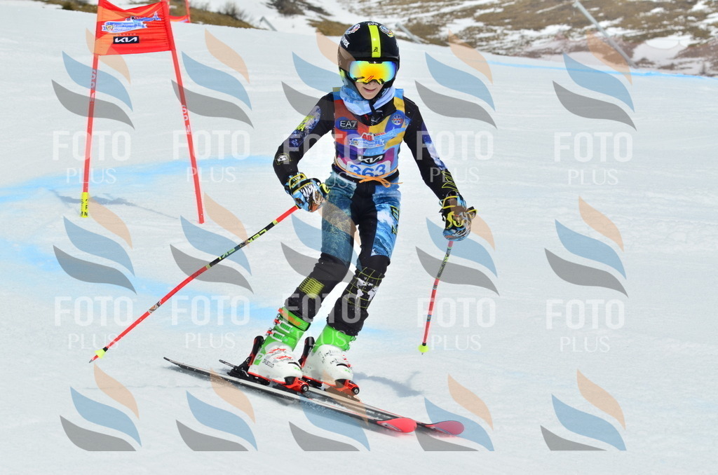 _ELE2906 | holidayphoto