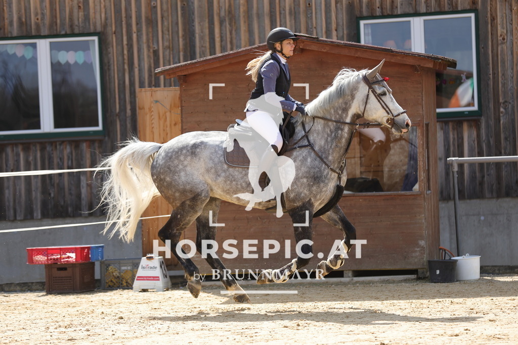 0P6A7514 | Willkommen bei Brunnmayr - Design & Fotografie – Ihrem Spezialisten für Reitturniere und Pferdeveranstaltungen in Oberösterreich, Salzburg und Bayern! Seit über 17 Jahren sind wir leidenschaftlich dabei.