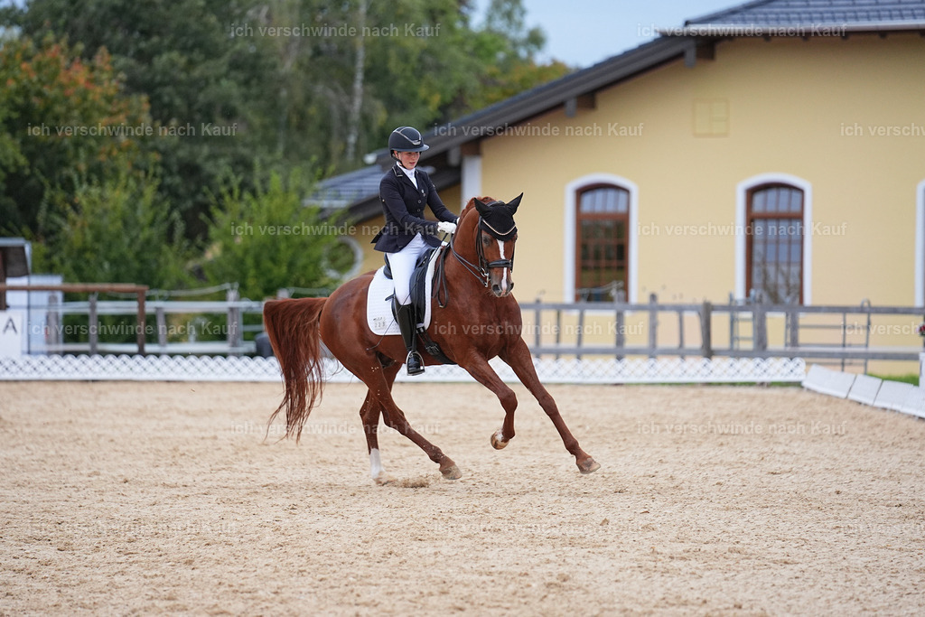 04_2-223-Dressur M__ -Marixx-3071 | working equitationturnier fotograf videograf stoibphotography marixx film working equitation deutschland reitsport turnierfotografie eventfotografie equestrian events