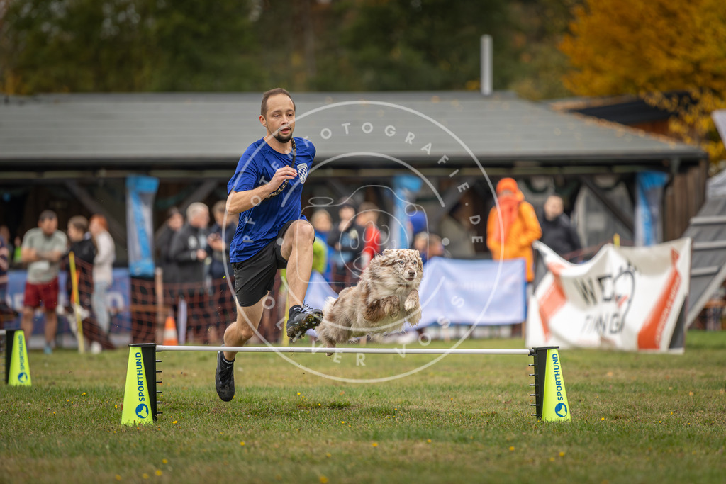 Pfotenfotografie_DV3A5023 | Hundefotografie, Tierfotograf, Pfotenfotografie, Fotoshooting Hund, Hunde Portrait, Hundesport, Hundeportraits, Heideshooting, Hunde, Sportfotograf, Hundefotograf, Turnierhundsport, THS,  - Realisiert mit Pictrs.com