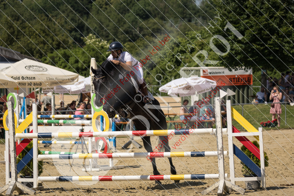 IMG_9771 | Sport-, Event- und Tierfotos in Profiqualität. Einfach auswählen, bestellen und herunterladen. Dein Moment – perfekt festgehalten.