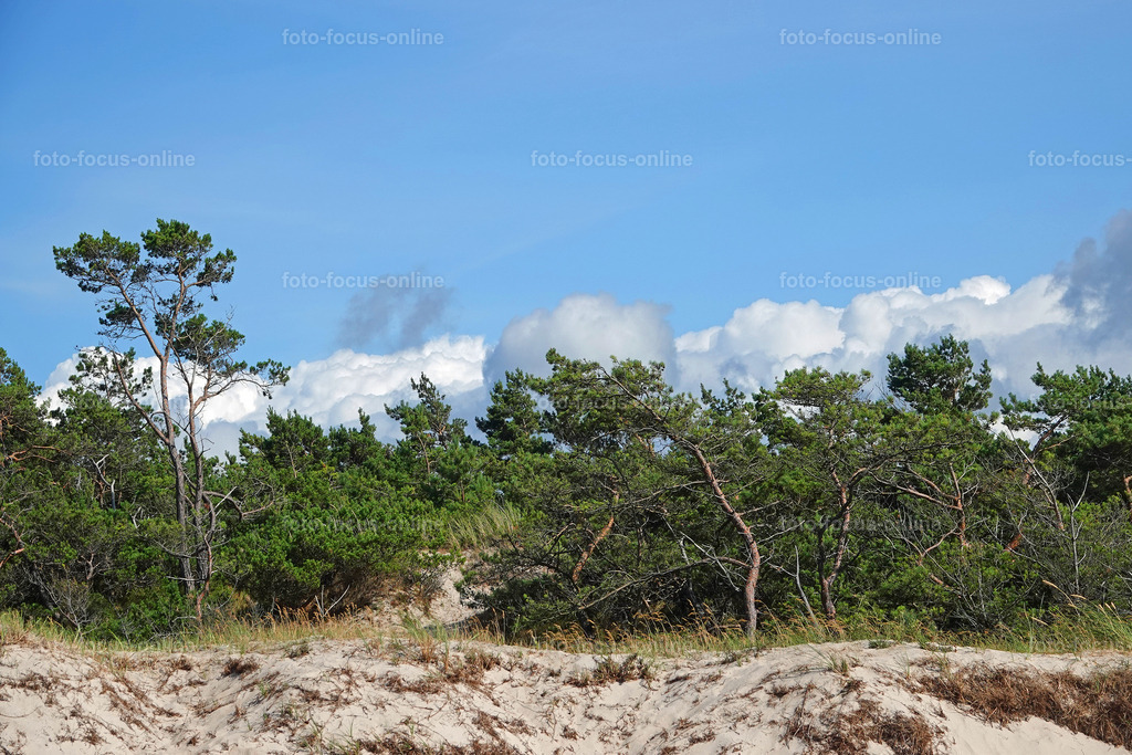 West Beach, Darß | foto-focus-online