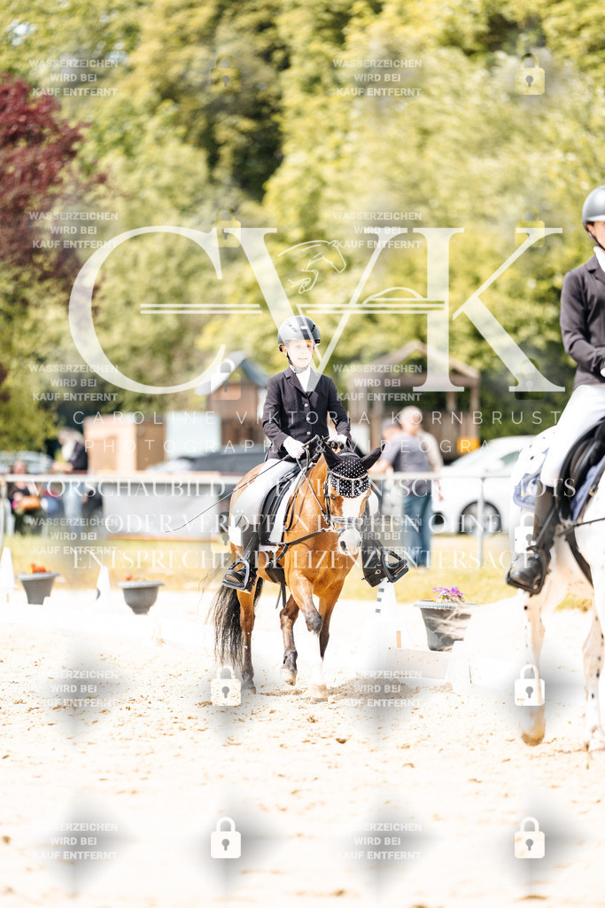 CK902420 | Turnierfotografie Pferdefotografie Trier Rheinland-Pfalz Pferdesport Reitsport Tierfotografie Sportfotografie Pferdevideo Pferdevideografie Equestrianvideography equestrianphotography  - Realisiert mit Pictrs.com