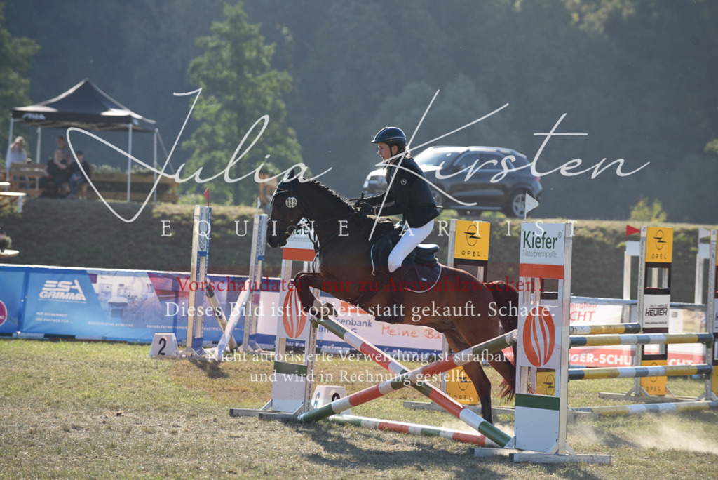 DSC_5551 | Pferde- und Turnierfotografie in Westsachsen. Pferdeportraits, Auftragszeichnungen und intuitive Kunst.