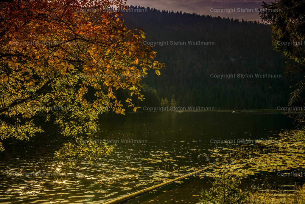 Bayrischer Wald 2017 | Bayrischer Wald 2017 - Realisiert mit Pictrs.com