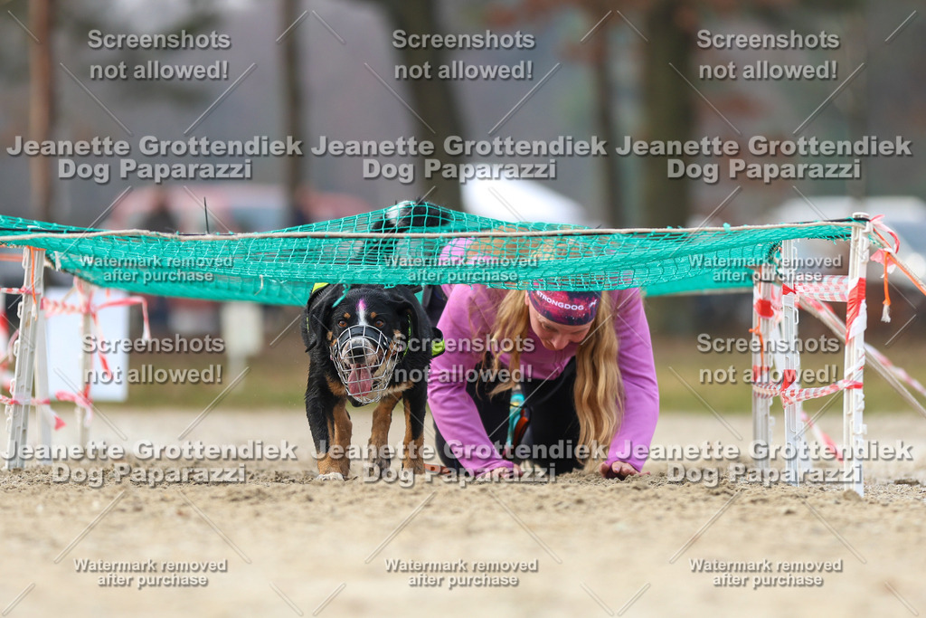 Dog Paparazzi - Strongdog North Mrz26-4294 | Dog Paparazzi Jeanette Grottendiek Fotografie & Videografie - Realisiert mit Pictrs.com