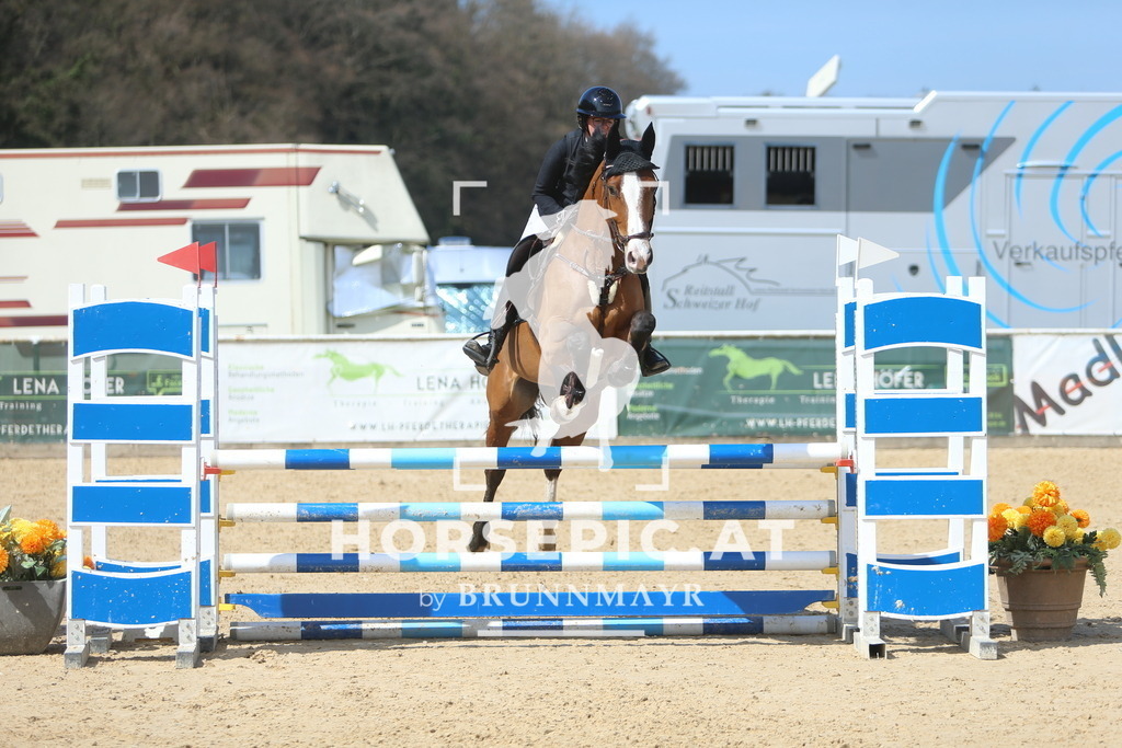 DL2Q9473 | Willkommen bei Brunnmayr - Design & Fotografie – Ihrem Spezialisten für Reitturniere und Pferdeveranstaltungen in Oberösterreich, Salzburg und Bayern! Seit über 17 Jahren sind wir leidenschaftlich dabei.