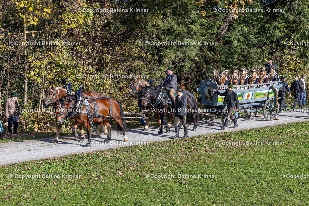LBT24-967 | foto-bettina-krinner - Realisiert mit Pictrs.com