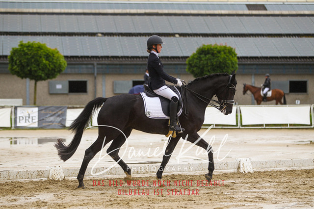 DKP40518 | Turniersportfotografie; Pferdefotografie; Dressurfotografie