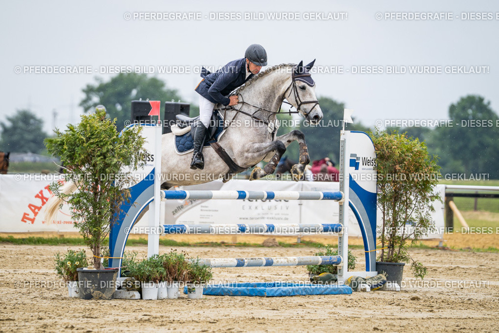 DSC02731 | Pferdegrafie