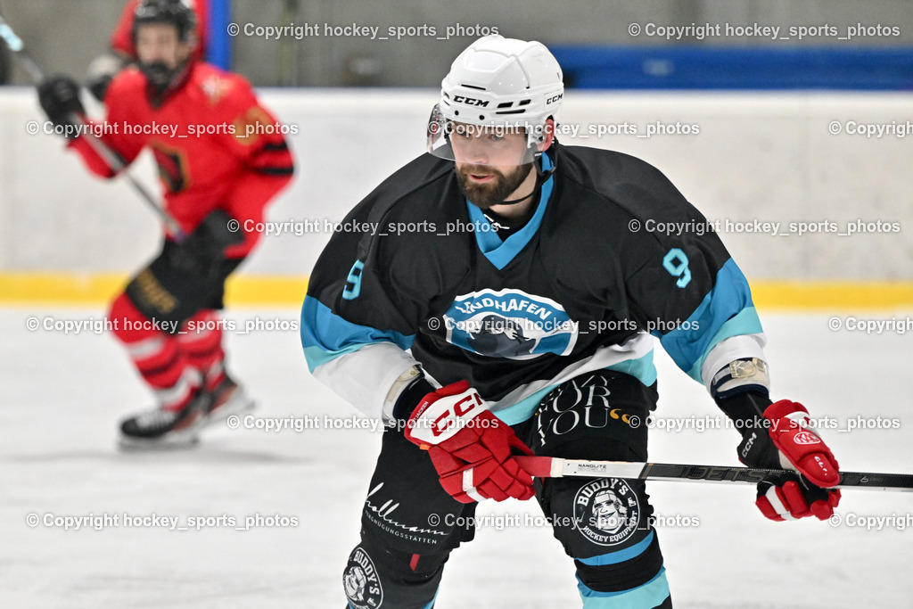 Lendhafen Seelöwen vs. Spartans Althofen | #9 Hebar Andrej Lendhafen Seelöwen, Lendhafen Seelöwen vs. Spartans Althofen, Lendhafen Seelöwen vs. Spartans Althofen am 14.02.2025 in Ferlach (HTC Eishalle Ferlach), Austria, (Photo by Bernd Stefan)