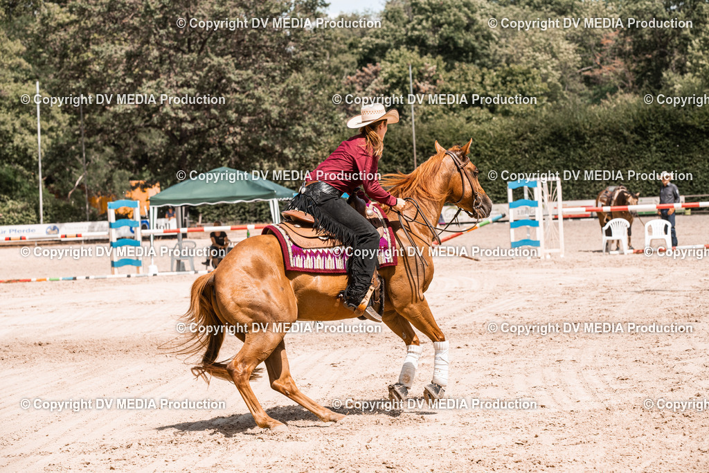 ZS3_0038 | dv-media-shop - Realisiert mit Pictrs.com