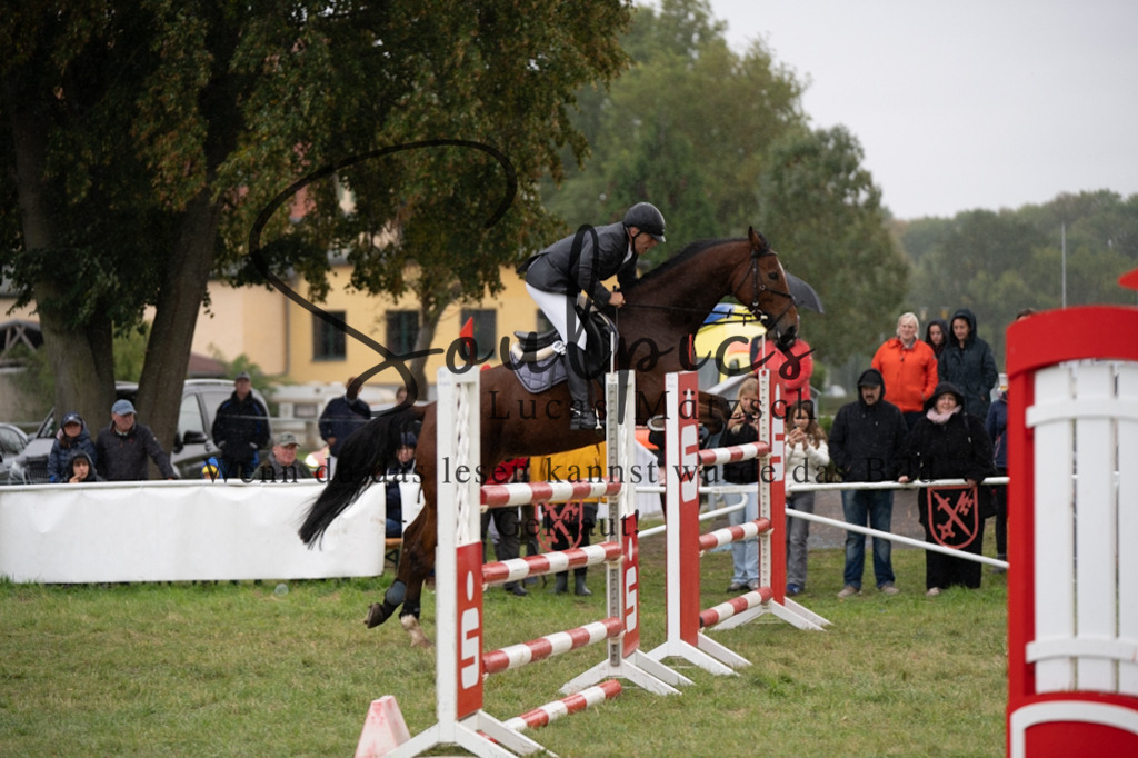 A7V07467 | Pferdefotograf