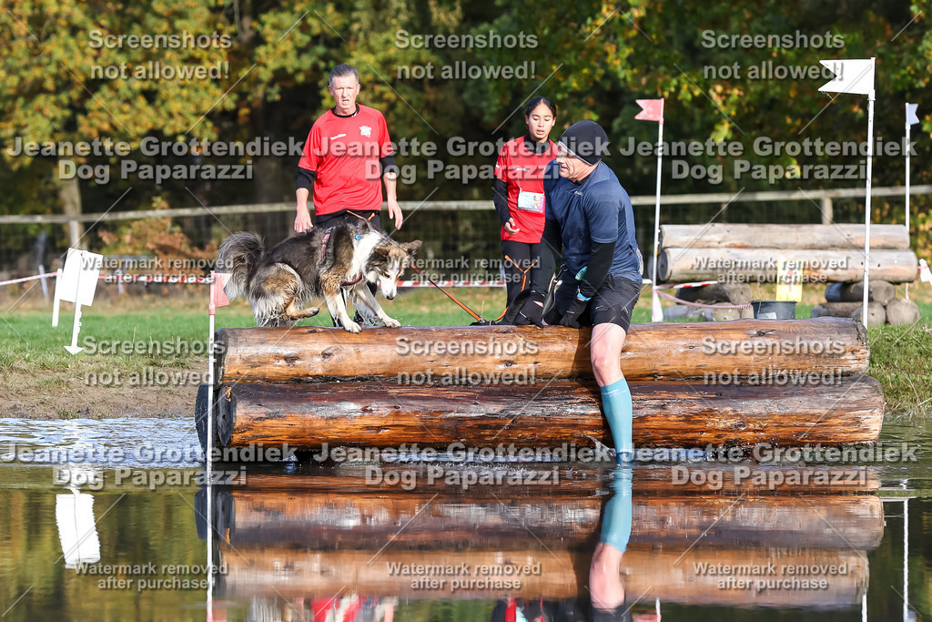 Dog Paparazzi - Strongdog 10-25-8393 | Dog Paparazzi Jeanette Grottendiek Fotografie & Videografie - Realisiert mit Pictrs.com