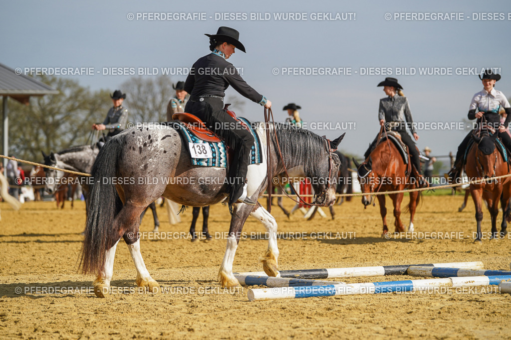 DSC01058 | Pferdegrafie