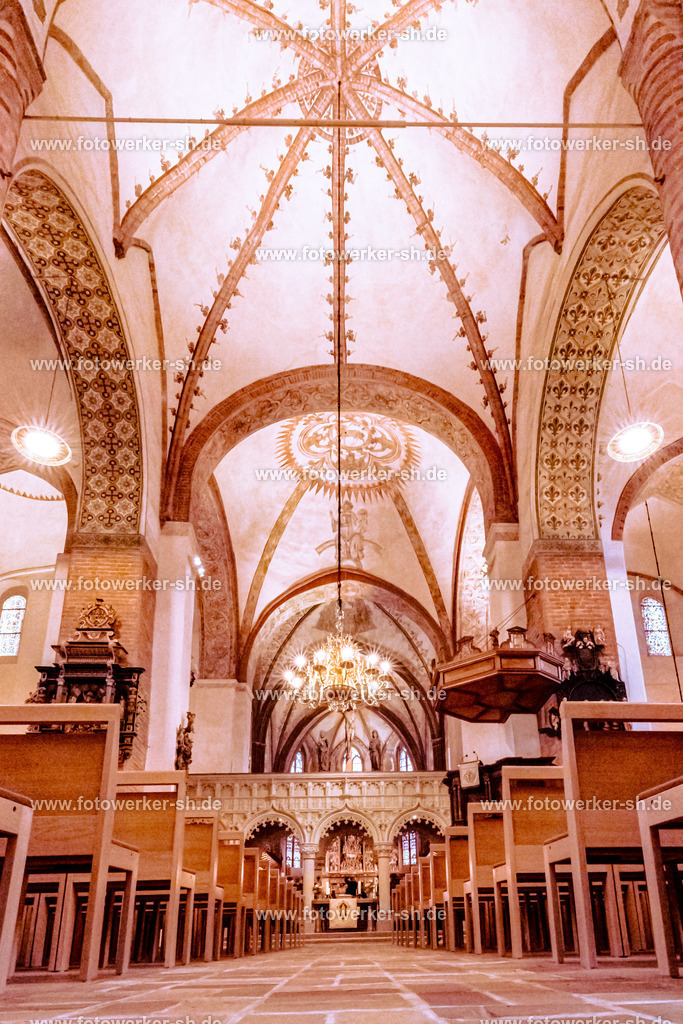 230128-VW-IS6A2578 | Fotowerker-sh - Realisiert mit Pictrs.com