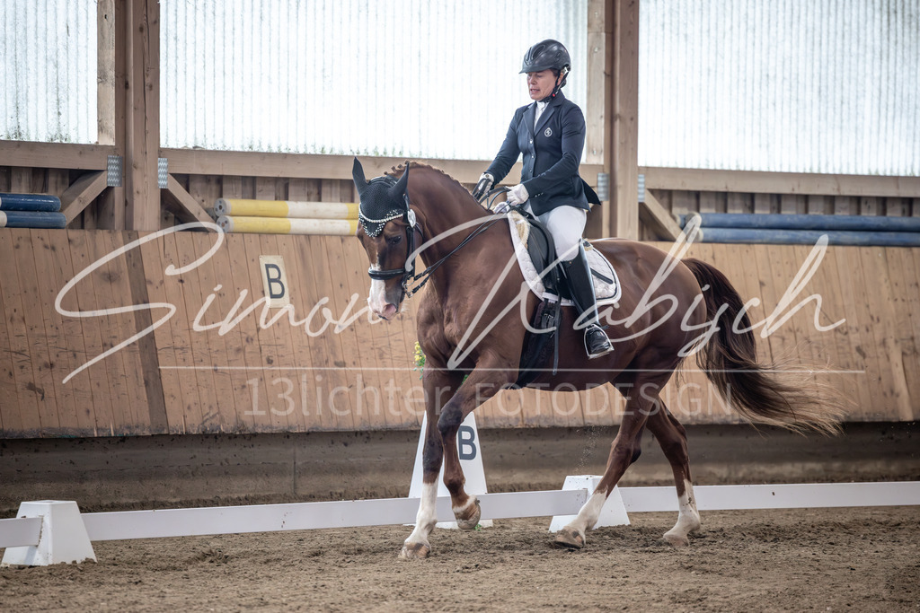 20251011-_3LI1036 | Tierfotografie Pferde, Hunde, Katzen, Haustiere.
Turnierfotografie Reitturniere, Reiten, Springreiten, Dressur in Hanau, dem Main-Kinzig-Kreis und dem Rhein-Main- Gebiet um Frankfurt