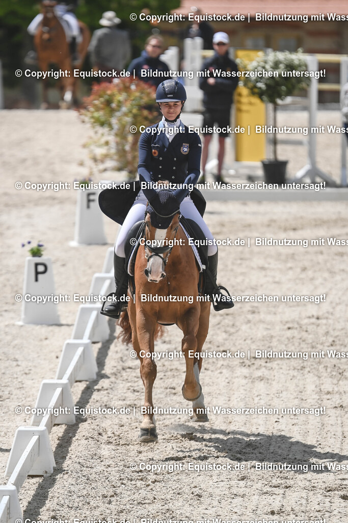 20250516_CCI2_Dressur_0263 | Foto: Thomas Hartig